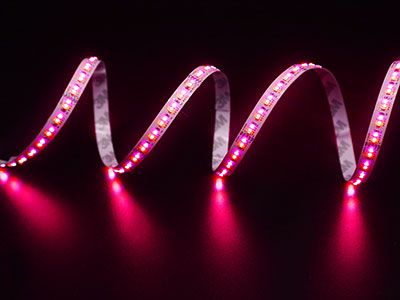 Ruban LED RGBW TN-2110, 15.36W/m, 48-756 lm par mètre